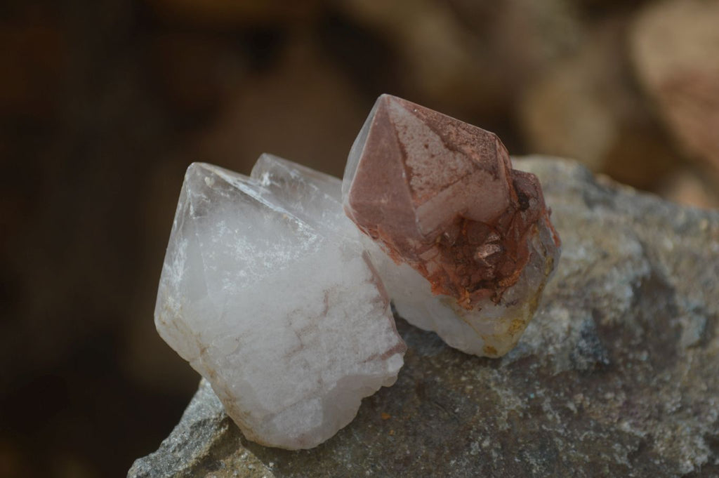 Natural Smokey Hematoid Quartz Crystals  x 35 From Madagascar - Toprock Gemstones and Minerals 