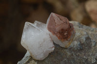 Natural Smokey Hematoid Quartz Crystals  x 35 From Madagascar - Toprock Gemstones and Minerals 