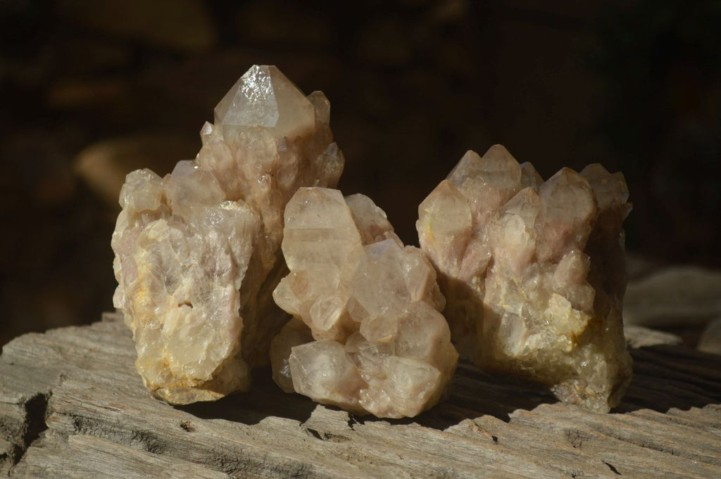 Natural Cascading Smokey Quartz Clusters x 3 From Luena, Congo - Toprock Gemstones and Minerals 