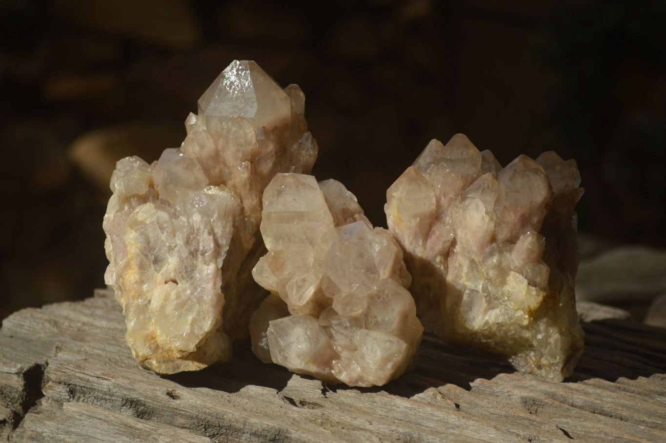Natural Cascading Smokey Quartz Clusters x 3 From Luena, Congo - Toprock Gemstones and Minerals 
