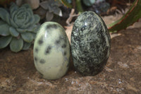 Polished Spotted Leopard Stone Standing Free Forms  x 6 From Zimbabwe - Toprock Gemstones and Minerals 