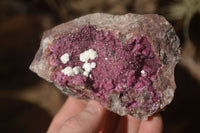 Natural Pink Salrose Cobaltion Dolomite Specimens x 6 From Kakanda, Congo - Toprock Gemstones and Minerals 