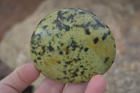 Polished Spotted Leopard Stone Free Forms  x 12 From Zimbabwe - Toprock Gemstones and Minerals 