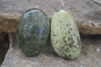 Polished Spotted Leopard Stone Free Forms  x 12 From Zimbabwe - Toprock Gemstones and Minerals 