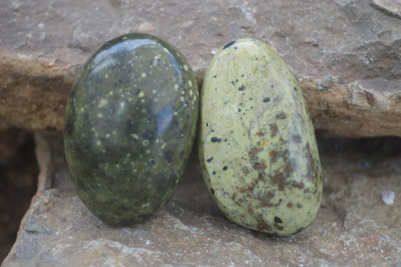 Polished Spotted Leopard Stone Free Forms  x 12 From Zimbabwe - Toprock Gemstones and Minerals 