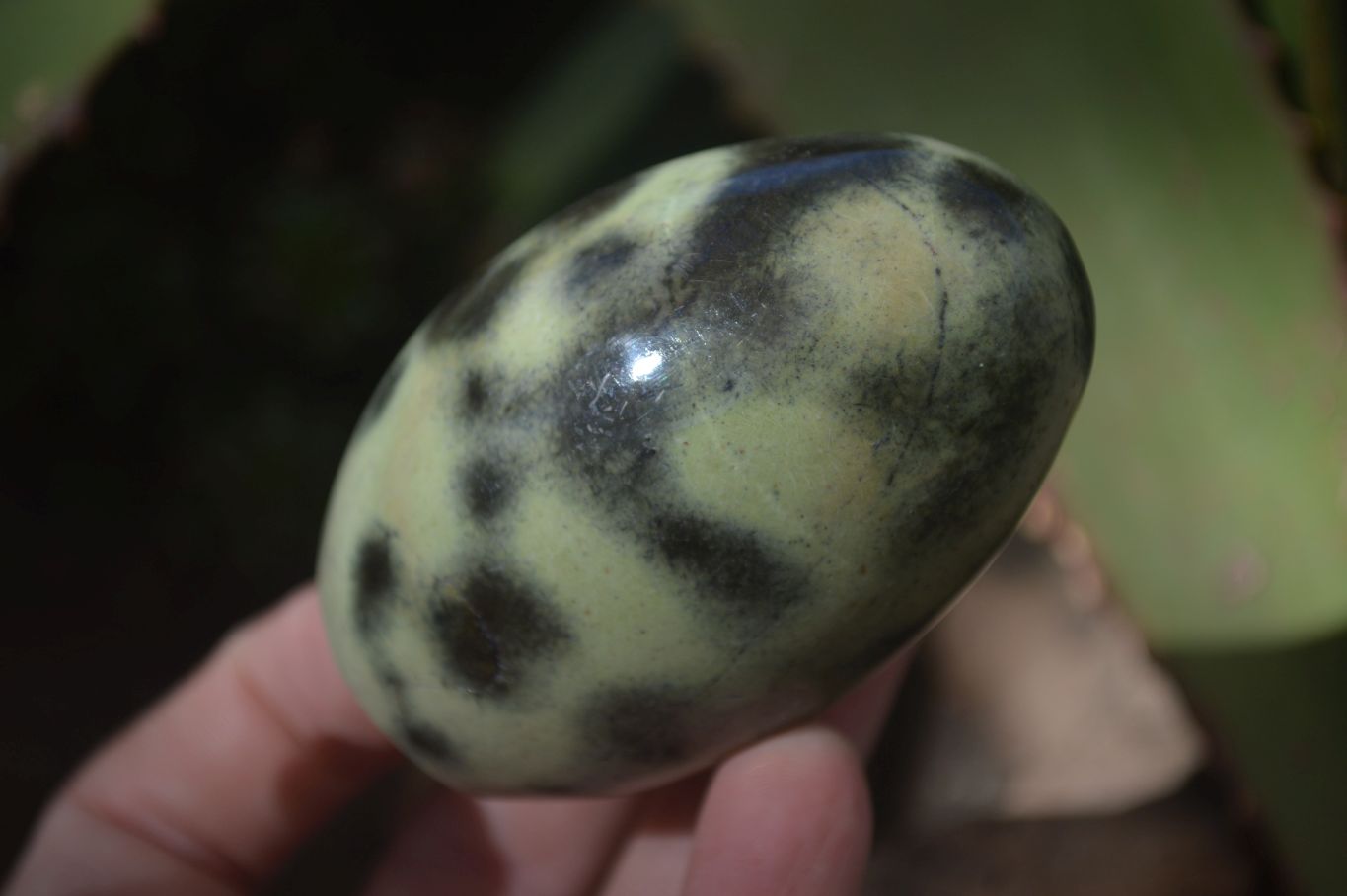 Polished Spotted Leopard Stone Standing Free Forms  x 6 From Zimbabwe - Toprock Gemstones and Minerals 
