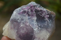 Polished Watermelon Fluorite Slices  x 12 From Namibia