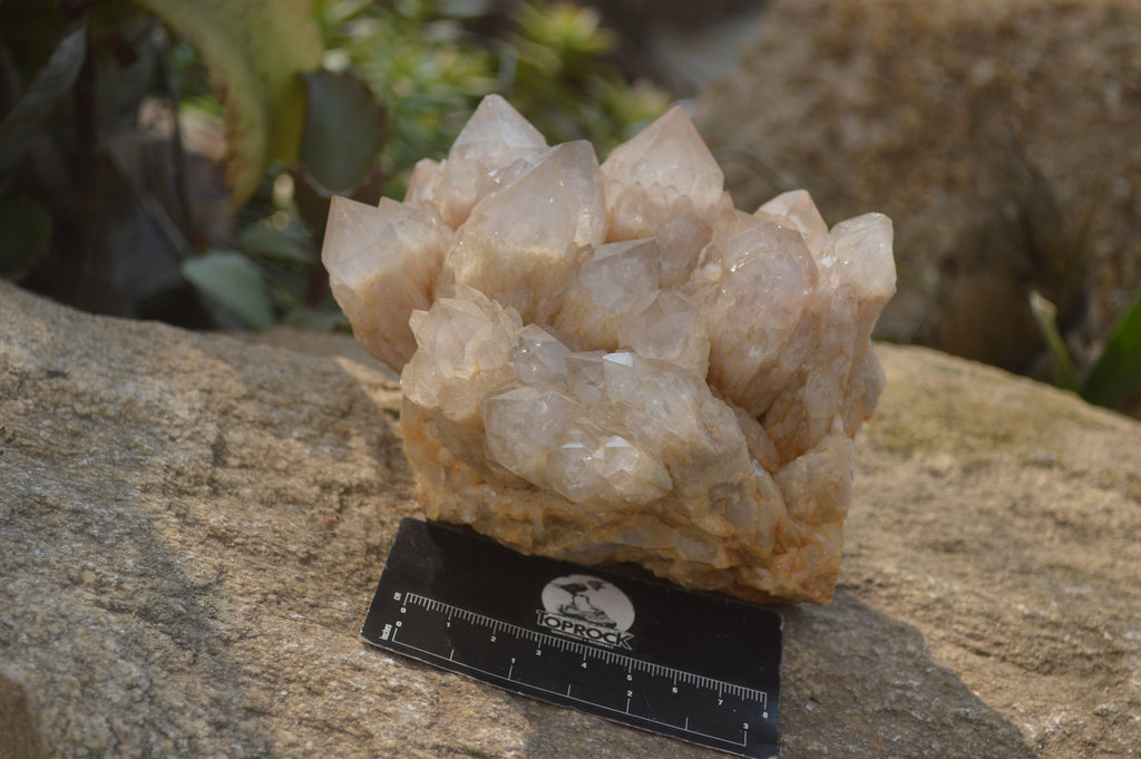 Natural Cascading Smokey Quartz Clusters x 2 From Luena, Congo - Toprock Gemstones and Minerals 