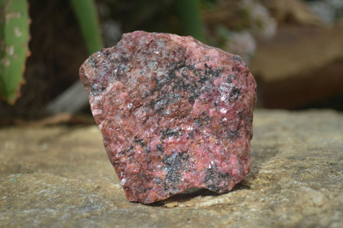 Natural Rough Red Rhodonite Specimens x 6 From Zimbabwe - Toprock Gemstones and Minerals 