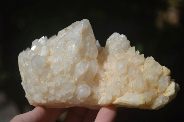 Natural Highly Selected Candle Quartz Clusters  x 5 From Madagascar - Toprock Gemstones and Minerals 