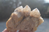 Natural Cascading Smokey Quartz Clusters x 2 From Luena, Congo - Toprock Gemstones and Minerals 