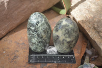 Polished Spotted Leopard Stone Standing Free Forms  x 6 From Zimbabwe - Toprock Gemstones and Minerals 
