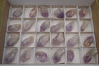 Natural Single Jacaranda Amethyst Crystals  x 24 From Mumbwa, Zambia - Toprock Gemstones and Minerals 