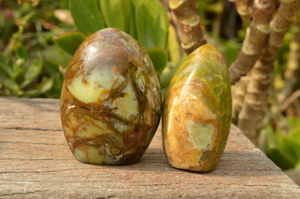 Polished Green Opal Standing Free Forms  x 3 From Antsirabe, Madagascar - TopRock