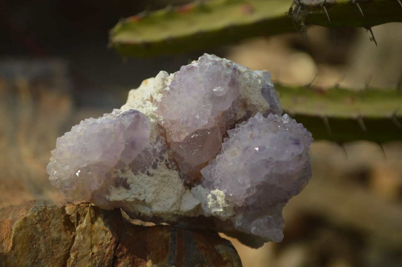 Natural Spirit Amethyst Quartz Clusters x 6 From Boekenhouthoek, South Africa - Toprock Gemstones and Minerals 