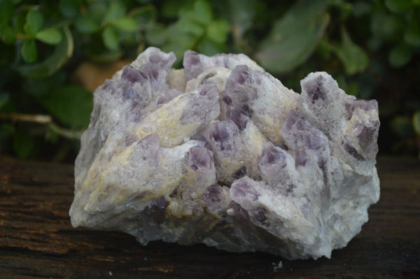 Natural Sugar Amethyst Quartz Cluster  x 1 From Zambia