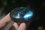 Polished Flashy Labradorite Palm Stones  x 12 From Tulear, Madagascar - Toprock Gemstones and Minerals 