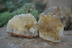 Natural Limonite Quartz Clusters x 12 From Solwezi, Zambia - Toprock Gemstones and Minerals 