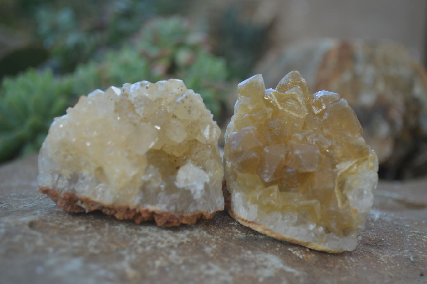 Natural Limonite Quartz Clusters x 12 From Solwezi, Zambia - Toprock Gemstones and Minerals 