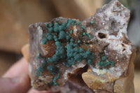 Natural Rare Ball Malachite On Drusy Quartz & Dolomite Specimens x 2 From Kambove, Congo - Toprock Gemstones and Minerals 