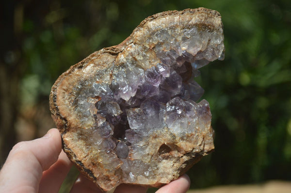 Natural Amethyst In Basalt Geode Specimens  x 6 From Zululand, South Africa - TopRock