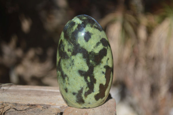 Polished Spotted Leopard Stone Standing Free Forms  x 6 From Zimbabwe - Toprock Gemstones and Minerals 