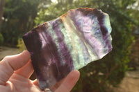 Polished Semi Translucent Watermelon Fluorite Slices  x 2 From Uis, Namibia - TopRock