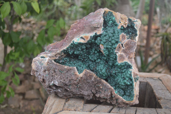 Natural XXL Rare Ball Malachite On Drusi Quartz & Dolomite Matrix  x 1 From Kambove, Congo - Toprock Gemstones and Minerals 
