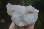 Natural White Spirit Cactus Quartz Clusters  x 2 From Boekenhouthoek, South Africa - Toprock Gemstones and Minerals 