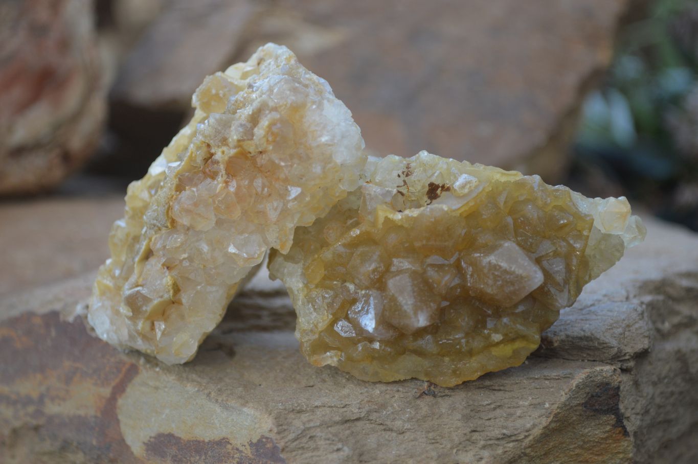Natural Limonite Quartz Clusters x 12 From Solwezi, Zambia - Toprock Gemstones and Minerals 