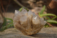 Natural Cascading Smokey Quartz Clusters x 2 From Luena, Congo - Toprock Gemstones and Minerals 
