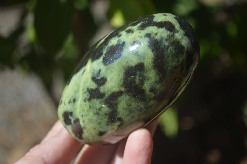 Polished Spotted Leopard Stone Standing Free Forms  x 6 From Zimbabwe - Toprock Gemstones and Minerals 