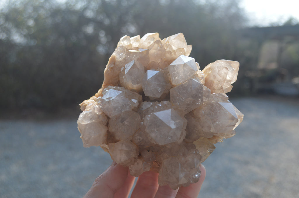 Natural Cascading Smokey Quartz Clusters x 2 From Luena, Congo - Toprock Gemstones and Minerals 
