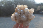 Natural Cascading Smokey Quartz Clusters x 2 From Luena, Congo - Toprock Gemstones and Minerals 