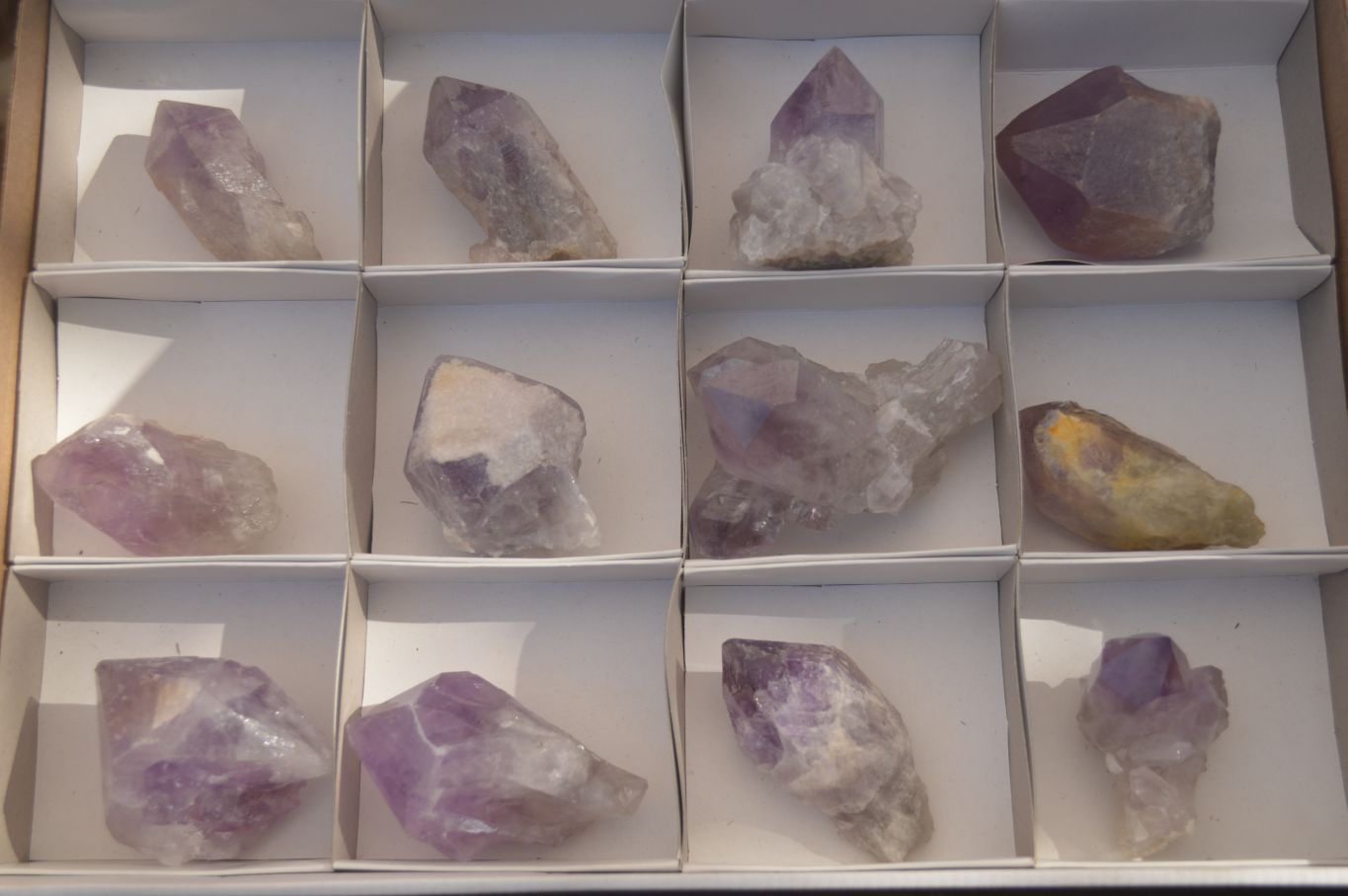 Natural Jacaranda Amethyst Crystals x 12 From Mumbwa, Zambia - Toprock Gemstones and Minerals 