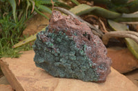 Natural Drusy Coated Ball Malachite On Dolomite Specimen  x 1 From Likasi, Congo - Toprock Gemstones and Minerals 