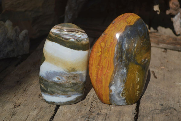 Polished Stunning Ocean Jasper Standing Free Forms  x 2 From Madagascar - Toprock Gemstones and Minerals 