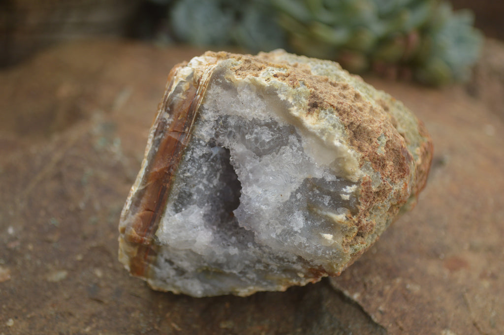 Centered Rocks Natural Amethyst & Crystal Centered Geodes x 12 From Zululand, South A ...