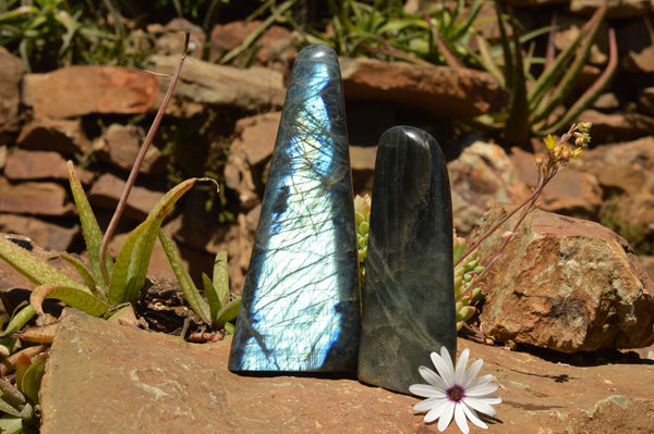 Polished Labradorite Standing Free Forms With Intense Blue Flash x 2 From Sakoany, Madagascar - TopRock