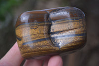 Polished Golden Tigers Eye Free Forms x 6 From Prieska, Northern Cape