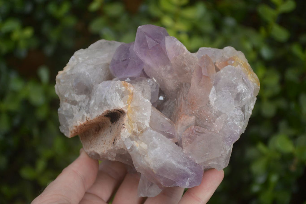 Natural Jacaranda Amethyst Clusters x 2 From Zambia - Toprock Gemstones and Minerals 