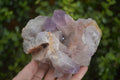 Natural Jacaranda Amethyst Clusters x 2 From Zambia - Toprock Gemstones and Minerals 
