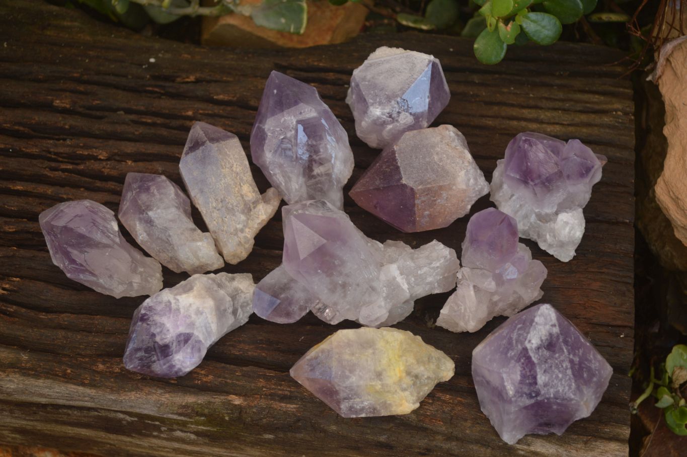 Natural Jacaranda Amethyst Crystals x 12 From Mumbwa, Zambia - Toprock Gemstones and Minerals 