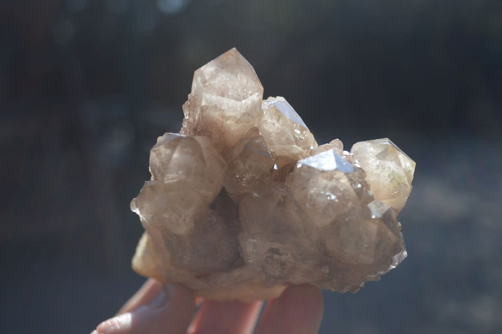 Natural Cascading Smokey Quartz Clusters x 3 From Luena, Congo - Toprock Gemstones and Minerals 