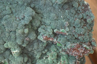 Natural Drusy Coated Ball Malachite On Dolomite Specimen  x 1 From Likasi, Congo - Toprock Gemstones and Minerals 