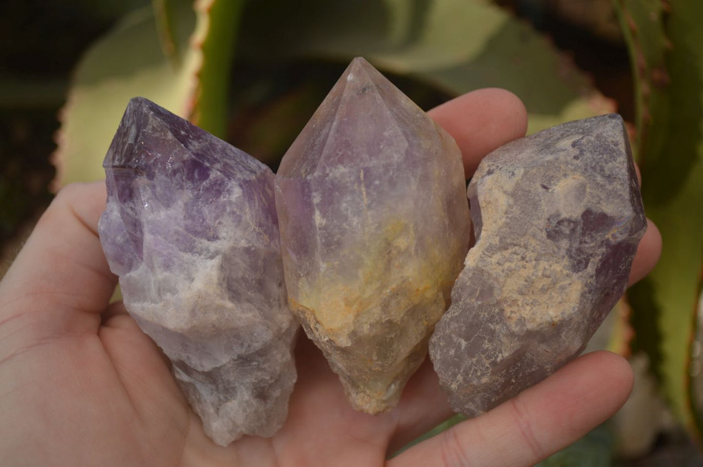 Natural Jacaranda Amethyst Crystals x 12 From Mumbwa, Zambia - Toprock Gemstones and Minerals 