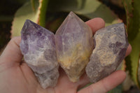 Natural Jacaranda Amethyst Crystals x 12 From Mumbwa, Zambia - Toprock Gemstones and Minerals 