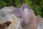 Natural Jacaranda Amethyst Clusters x 2 From Zambia - Toprock Gemstones and Minerals 