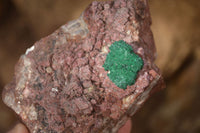 Natural Pink Salrose Cobaltion Dolomite Specimens x 6 From Kakanda, Congo - Toprock Gemstones and Minerals 