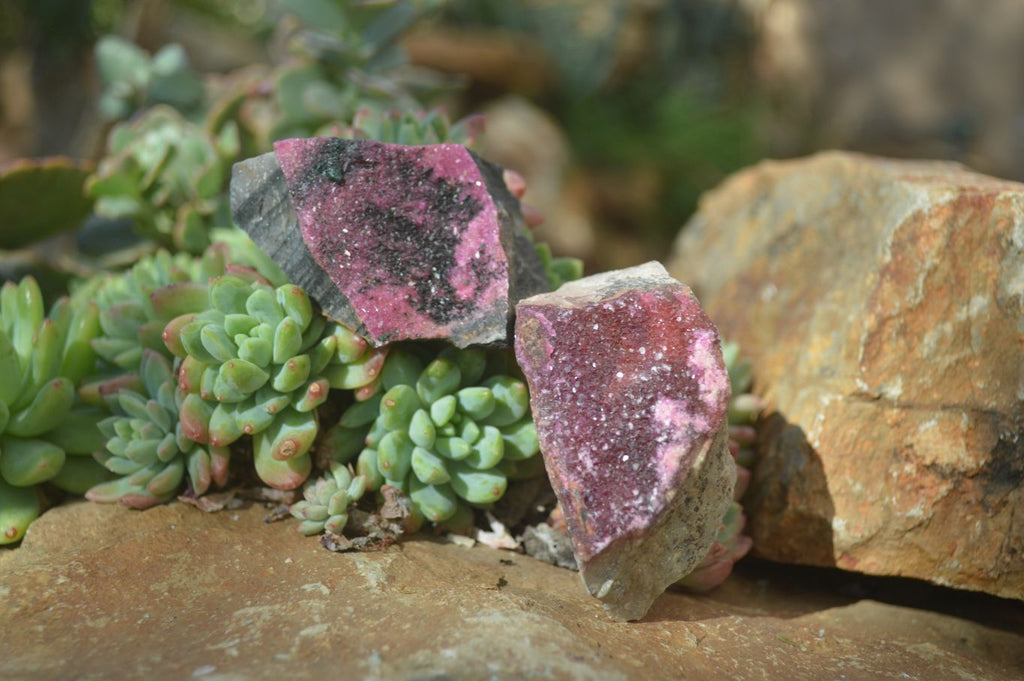Natural Pink Salrose Cobaltion Dolomite Specimens  x 9 From Kakanda, Congo - Toprock Gemstones and Minerals 